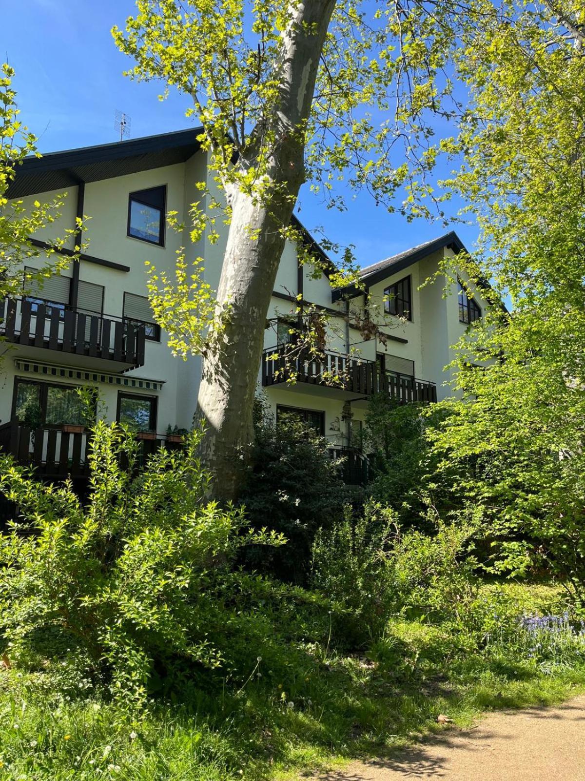 Zentrale Ferienwohnung Am Buhlschen Park In Deidesheim Buitenkant foto