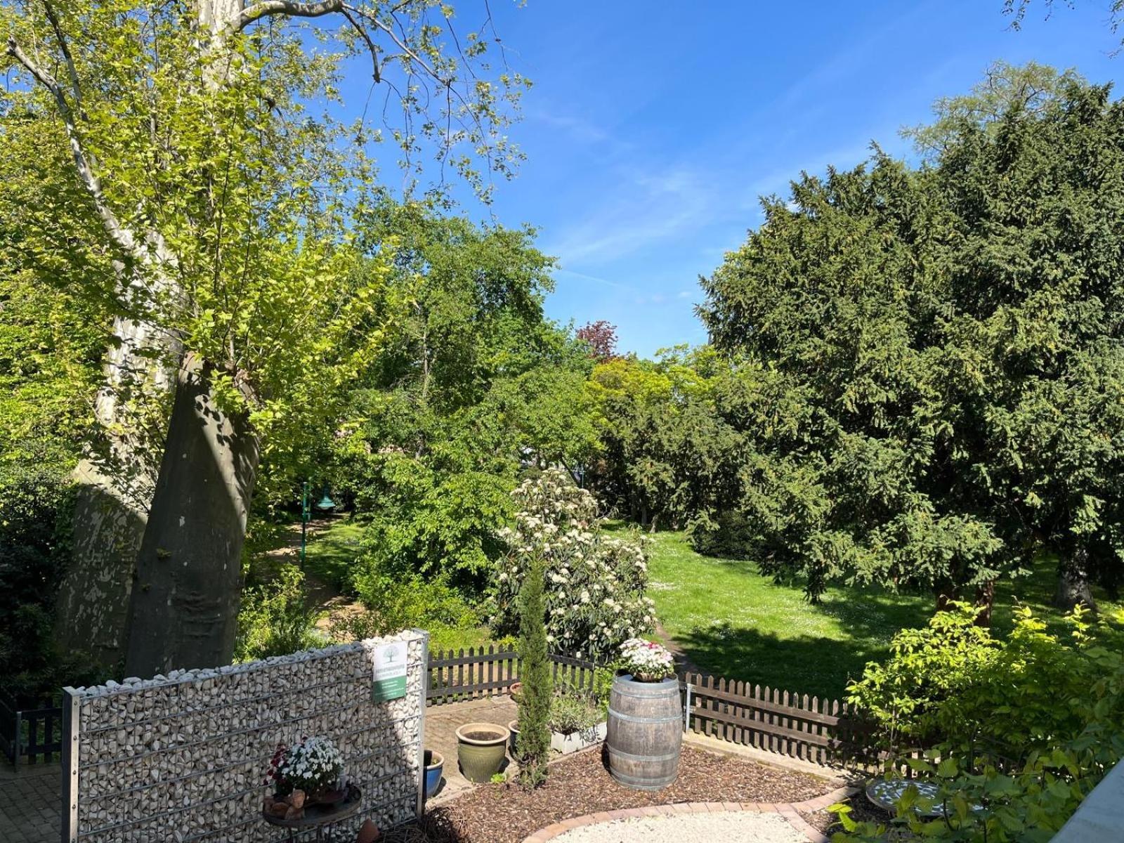 Zentrale Ferienwohnung Am Buhlschen Park In Deidesheim Buitenkant foto